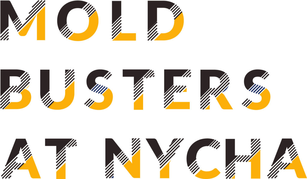 Mold Busters at NYCHA