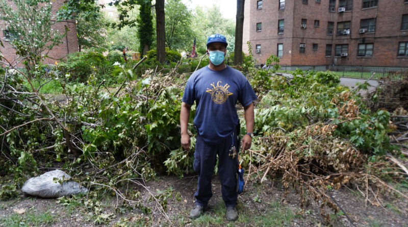 Marcy Houses’ Supervising Groundskeeper Anthony McLeod