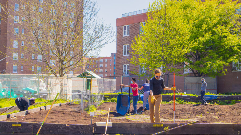 Red Hook Farms volunteers