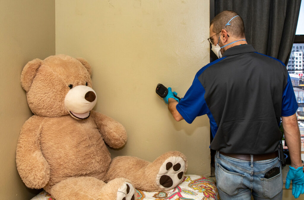 man holds XRF analyzer, looks like an electric drill, against a wall. a very large teddy bear sits nearby.