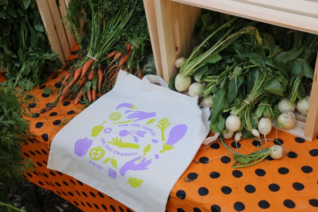 Harvest Festival 2021