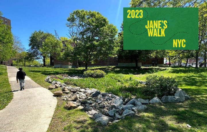 Edenwald development grounds and Jane's Walk NYC logo