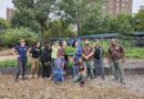 Climate Week NYC: NYCHA Sustainability Programs Highlighted at Staff Events