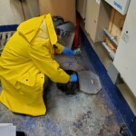 PAIS Exterminator Sanjay Sharma