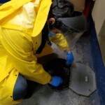 PAIS Exterminator Sanjay Sharma