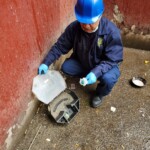 PAIS Exterminator Solomon Sookoo