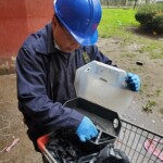 PAIS Exterminator Solomon Sookoo