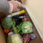 Donated box of groceries for residents.