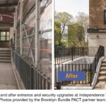 PACT Brooklyn Bundle II