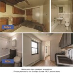 PACT Brooklyn Bundle II