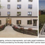 PACT Brooklyn Bundle II